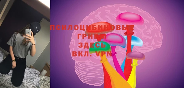 гидропоника Богородск