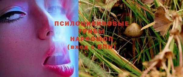 спайс Беломорск