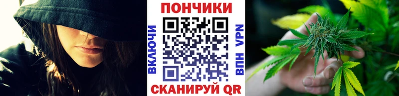 Канабис сатива  закладки  Боровск 